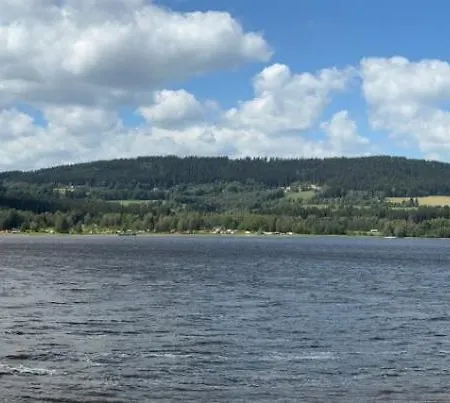 V Korunach Stromu